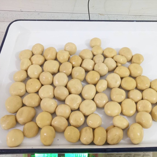 canned whole champignon mushroom 3100ml