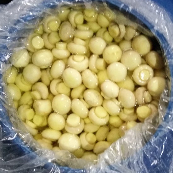 Preserved SO2 mushroom in barrel