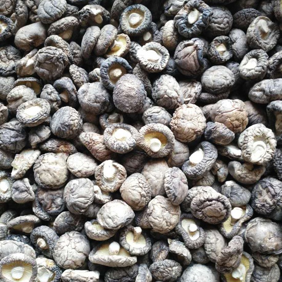 dried shiitake mushroom