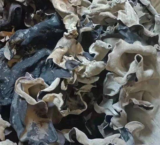 Dried black fungus